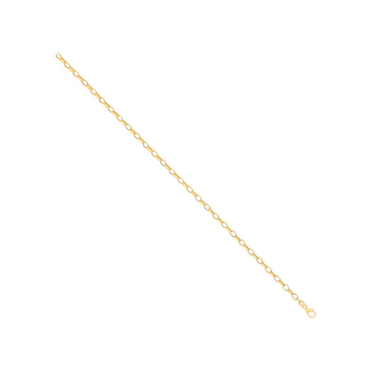 14ct Yellow Gold Hollow Oval Faceted Belcher 3.5mm Chain | Maison D'amour Luxury Fine Jewellery Collection Online